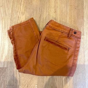 Anthropologie khaki trousers with velvet accents